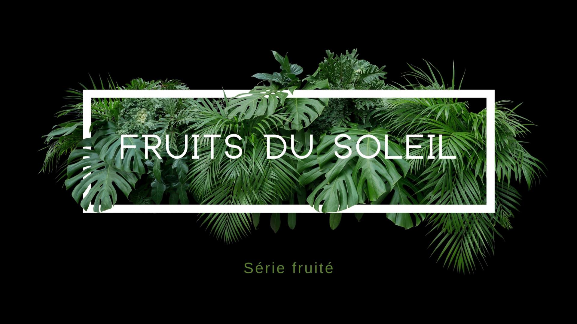 Pics'L Art Galerie I Série I Fruits du Soleil